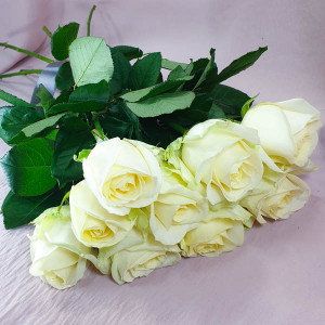 Чистота чувств - букет из белых роз (50см)